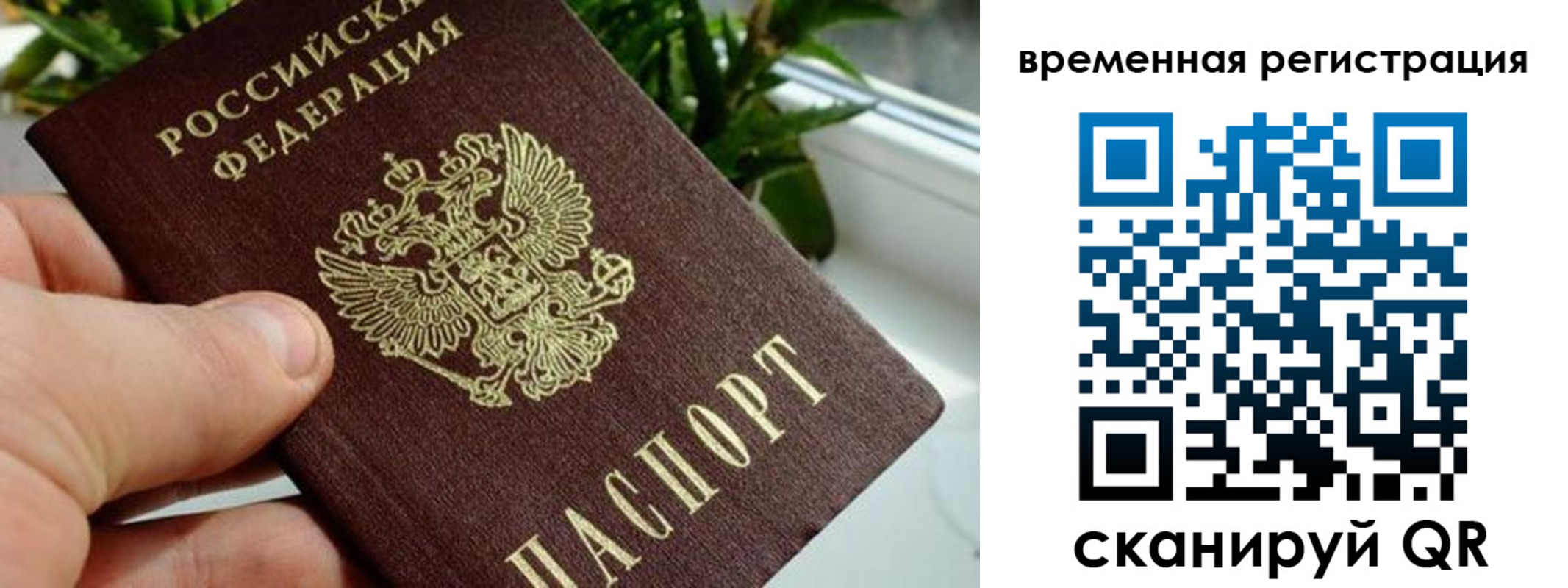 прописка поиск в Заринске